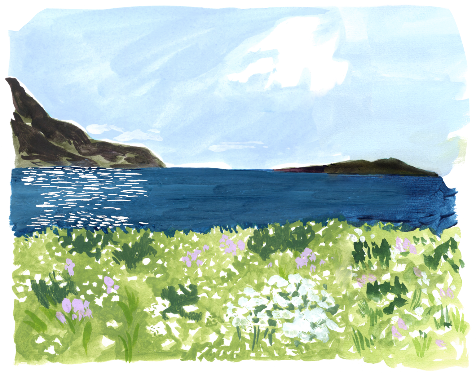 Activities Nusfjord Arctic Resort