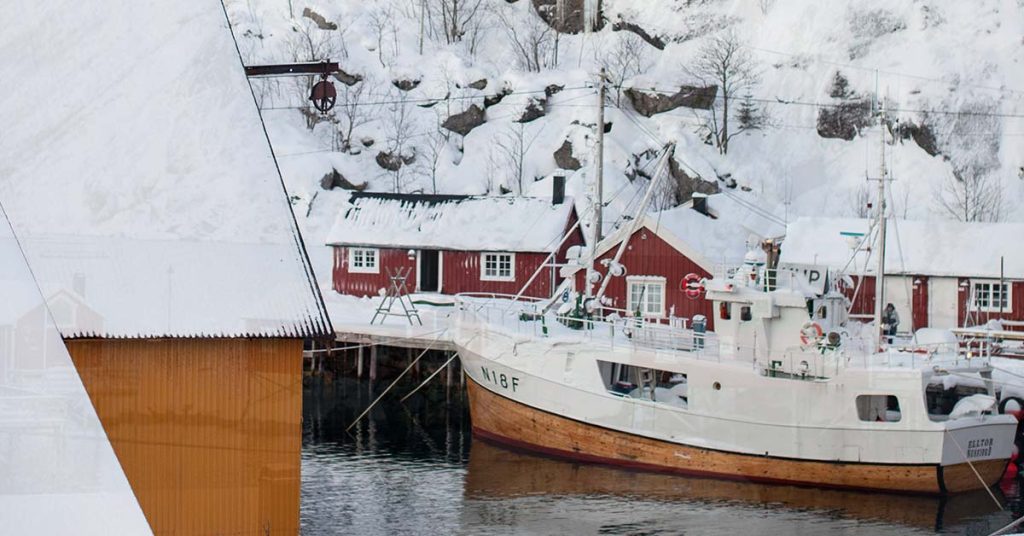 Tungeskjæring i Lofoten